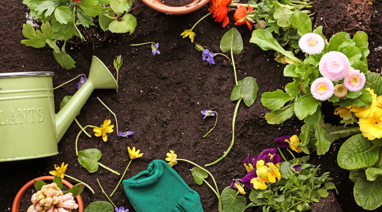 Cómo hacer que tus plantas florezcan más tiempo