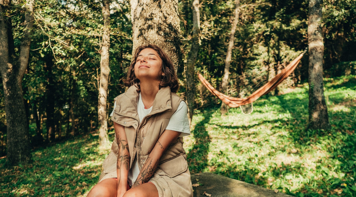 Las Mejores Plantas para Reducir el Estrés y la Ansiedad