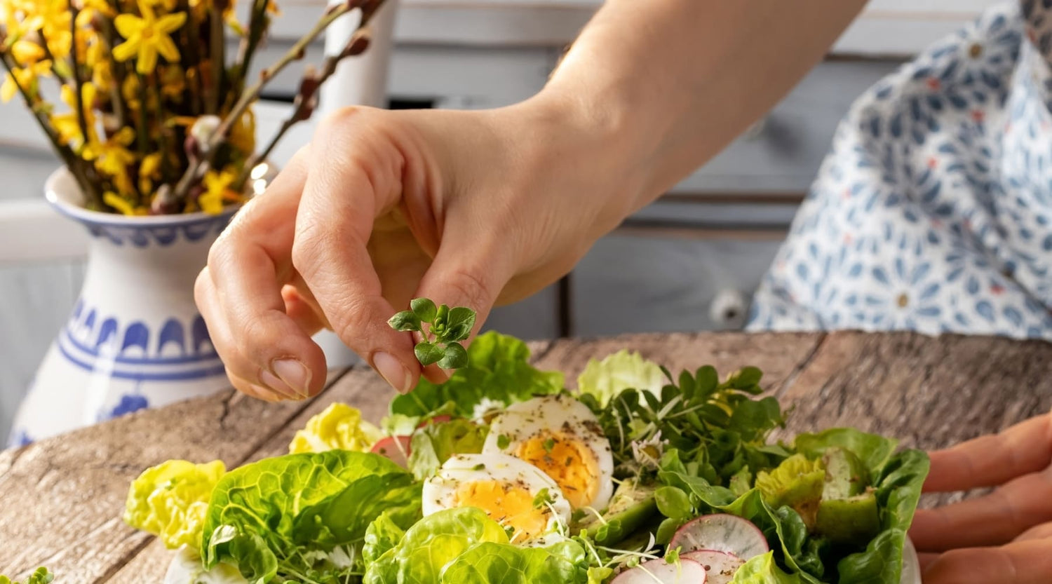 Plantas comestibles: cómo crear un jardín en casa