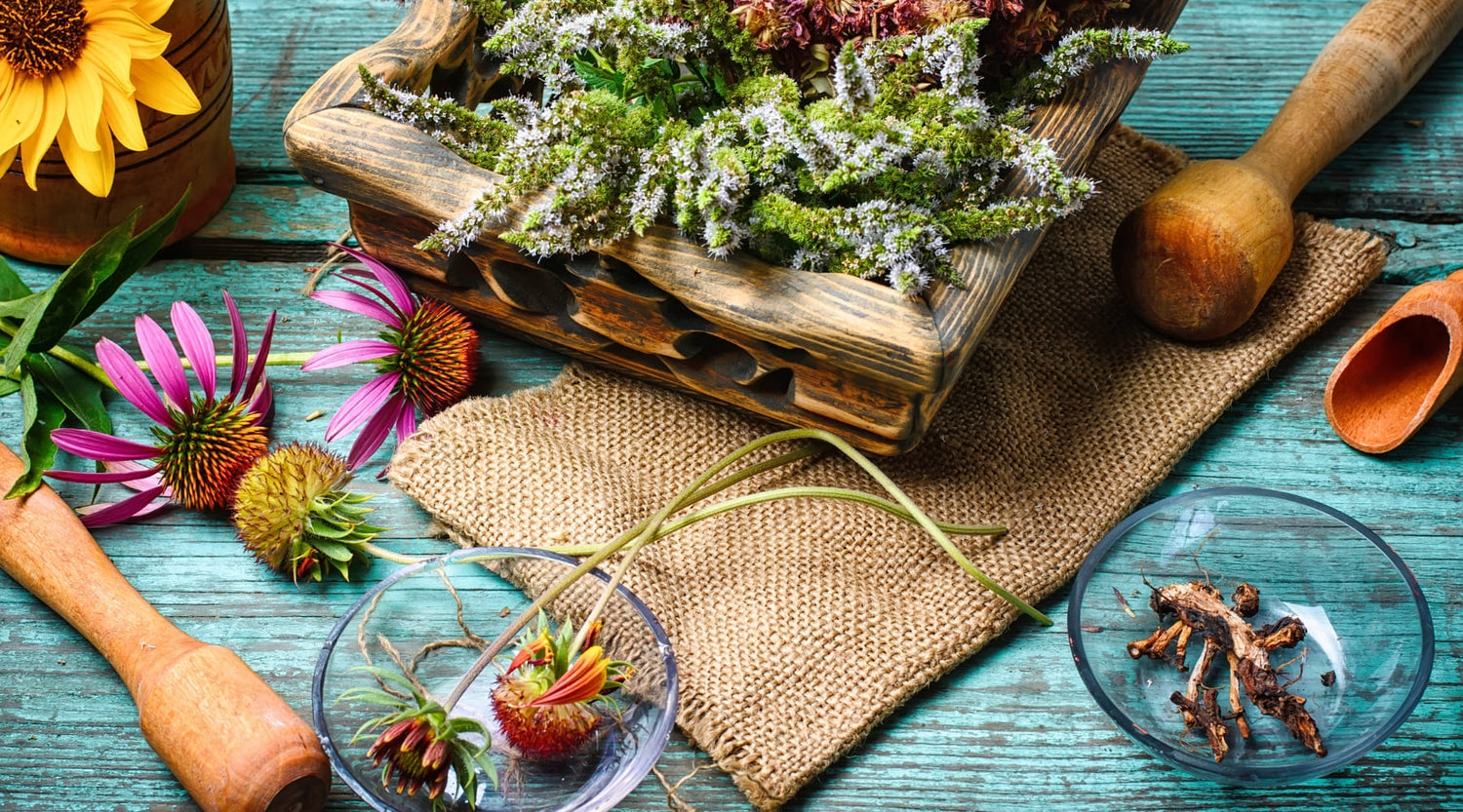 Plantas medicinales que puedes cultivar en tu jardín