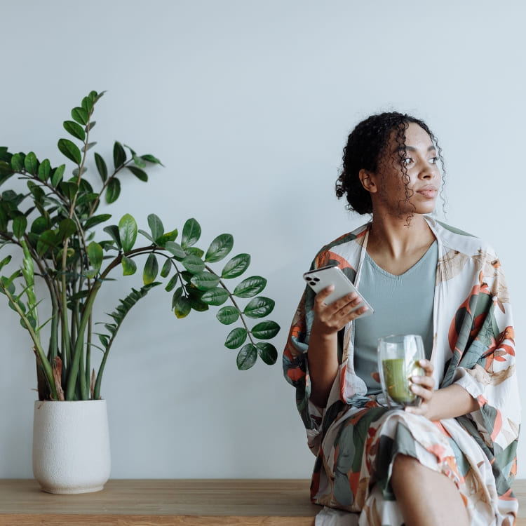 Compra Plantas de Interior Purificadoras de Aire Online