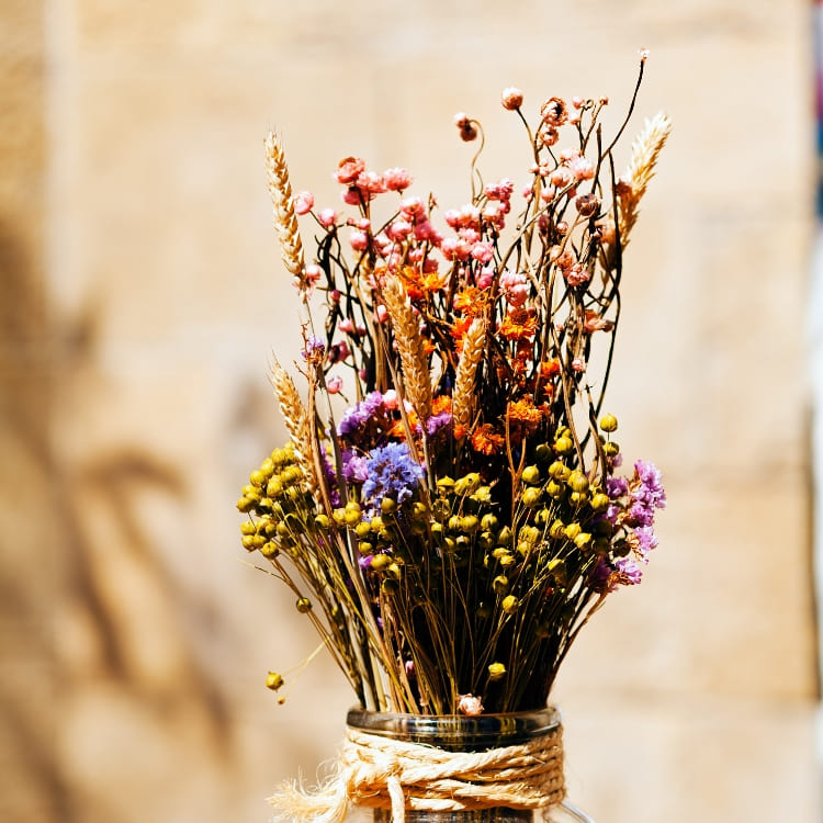 Comprar Flores Secas Online