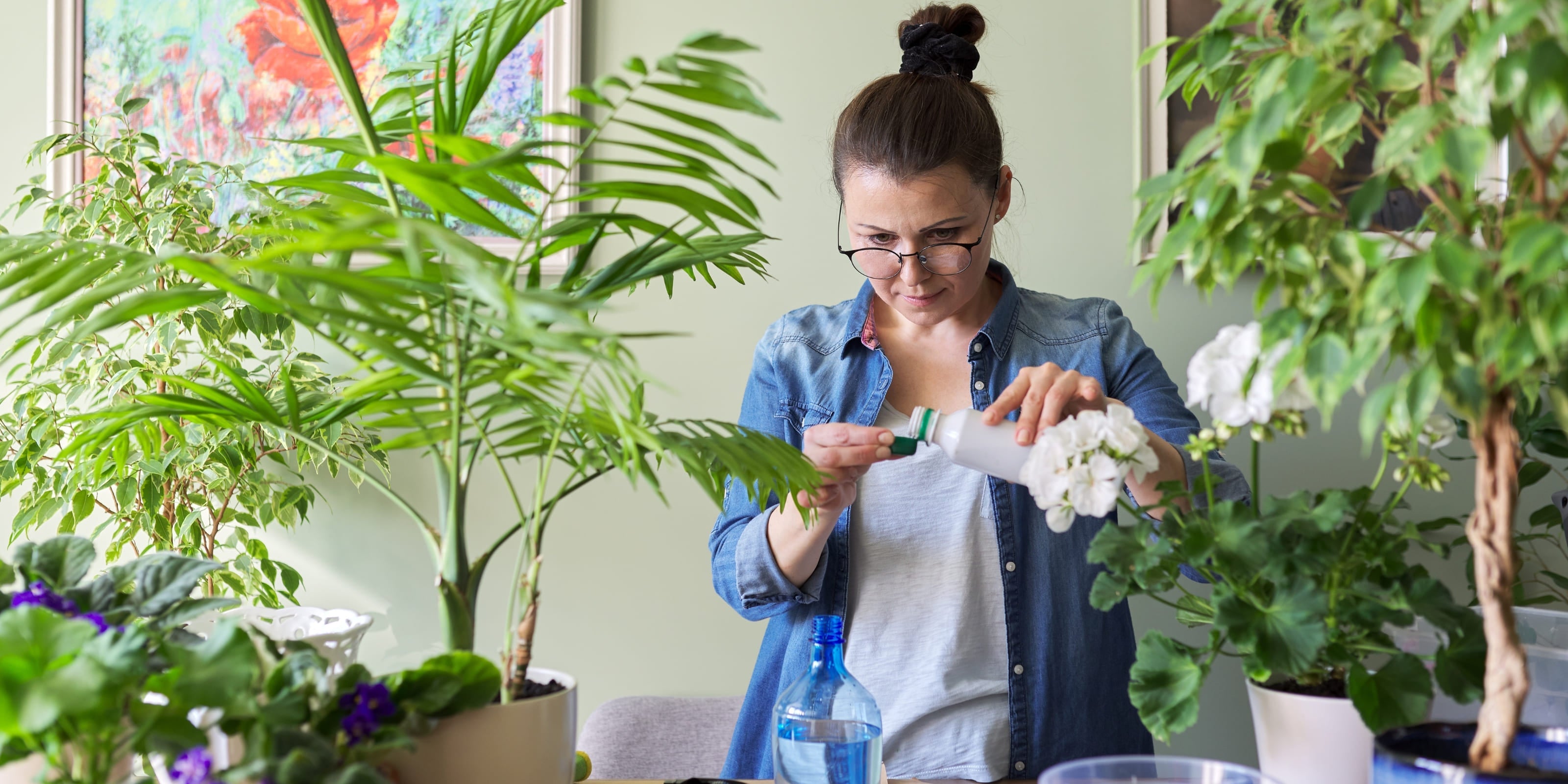 Comprar abono para plantas online