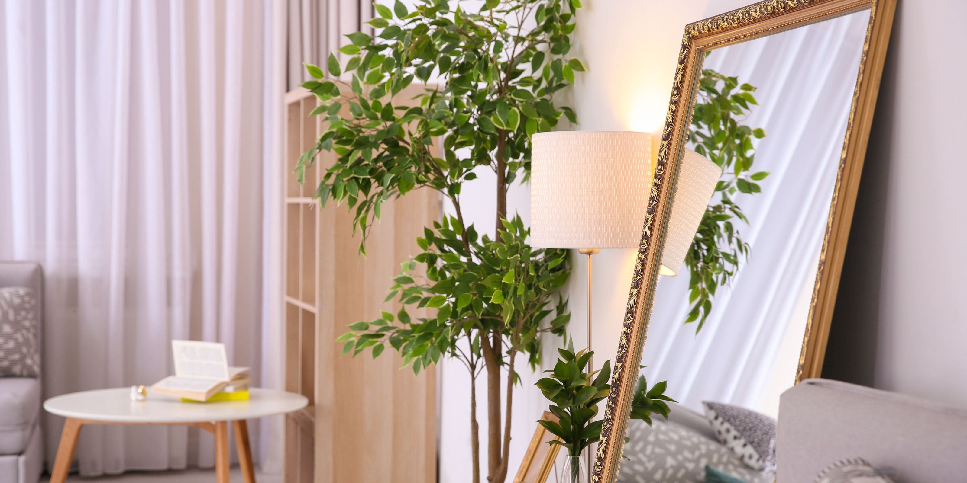 comprar plantas altas