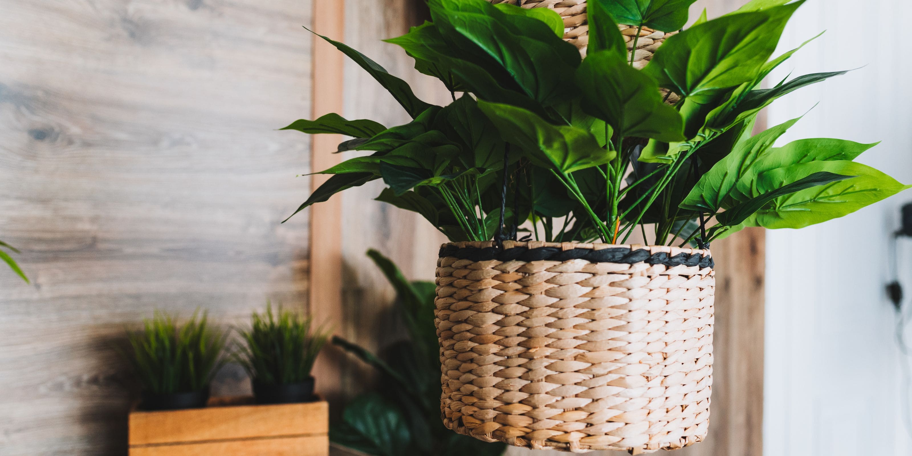 comprar plantas artificiales realistas