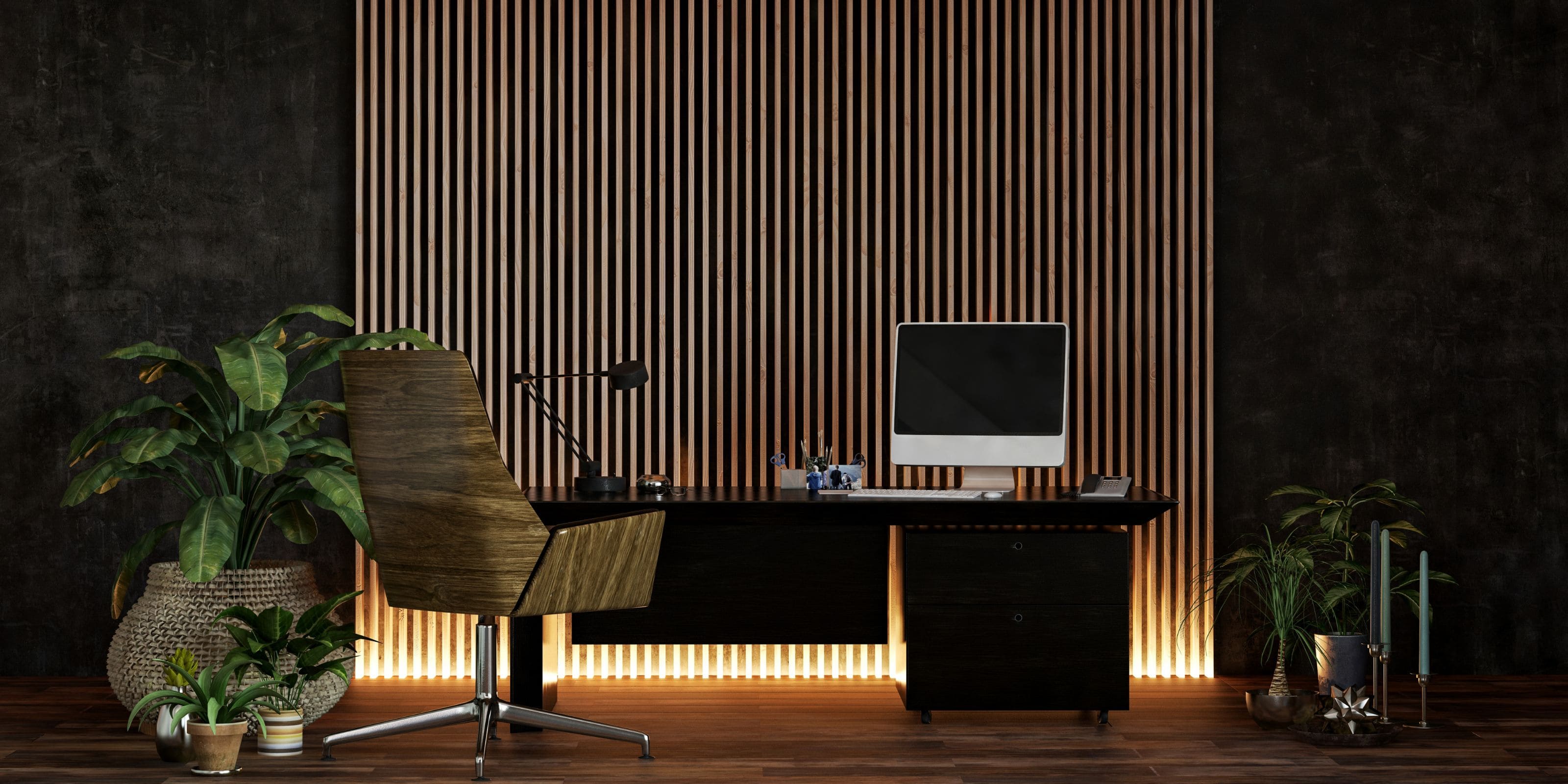 Comprar plantas de oficina de poca luz