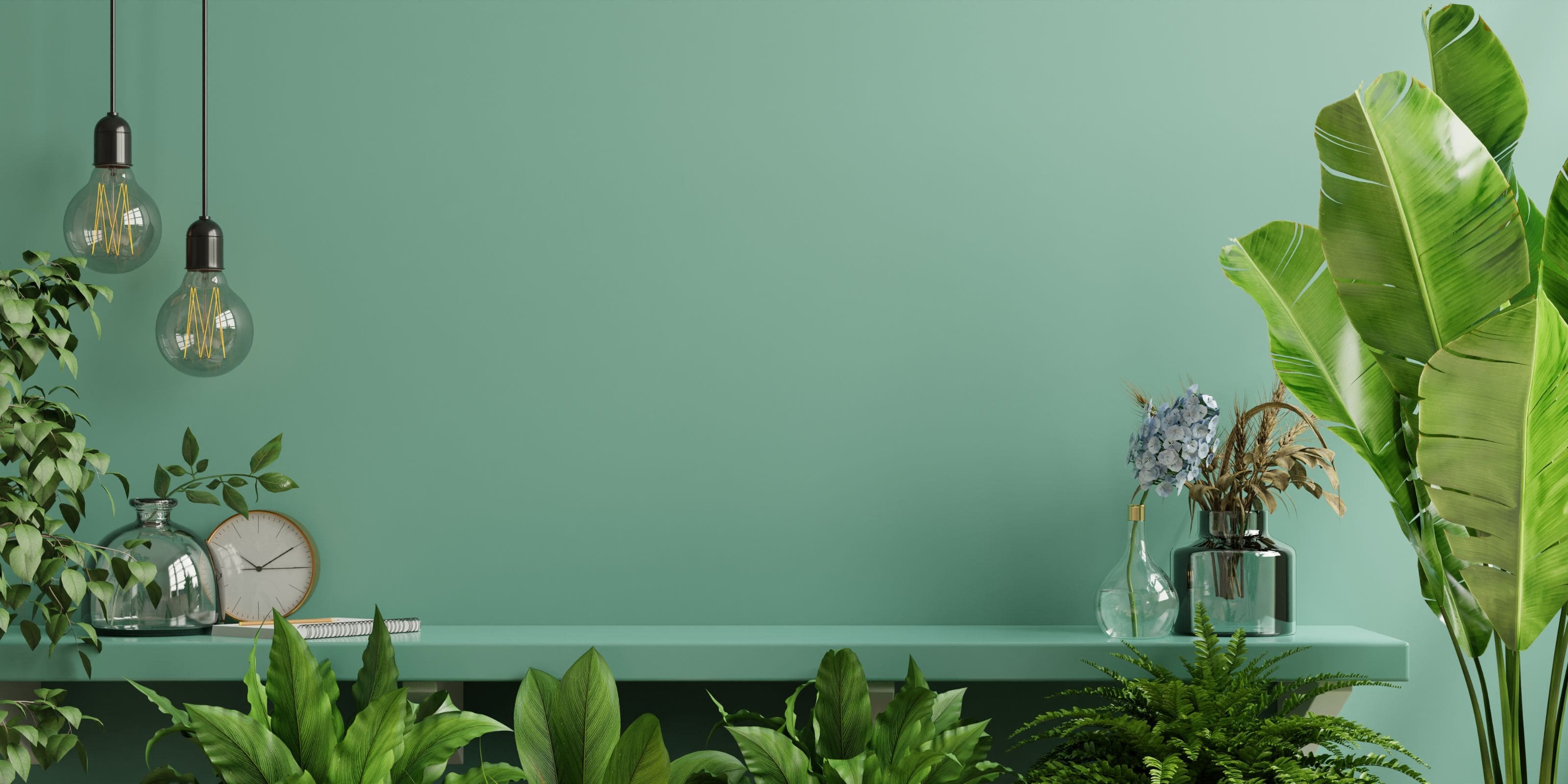 Comprar plantas verdes online