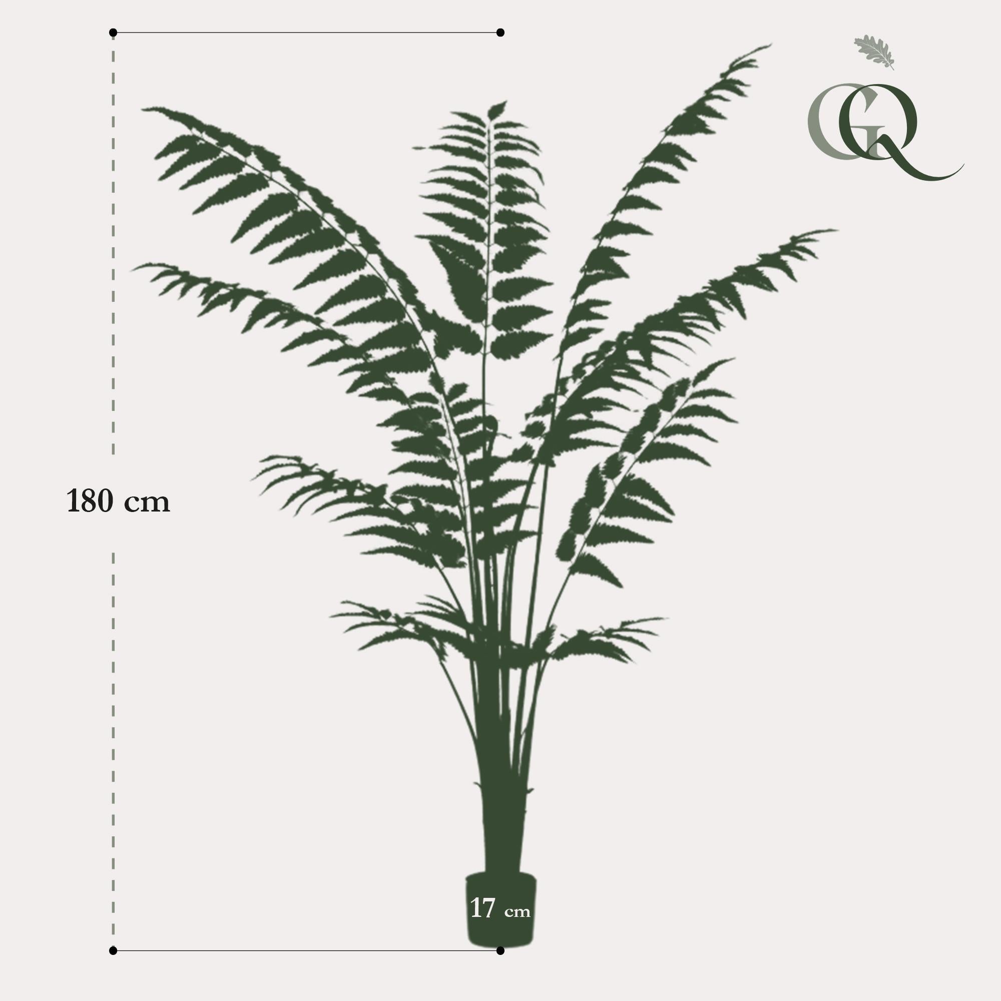 Feto de Couro Artificial (Rumohra Adiantiformis)
