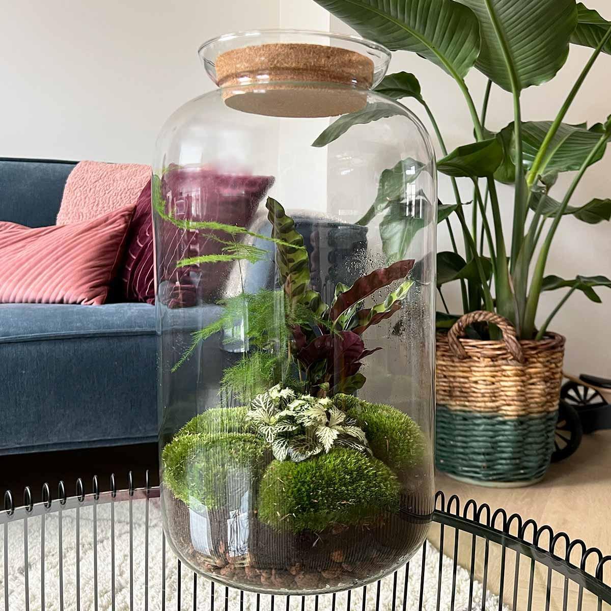 Terrário Botanical Sven XL