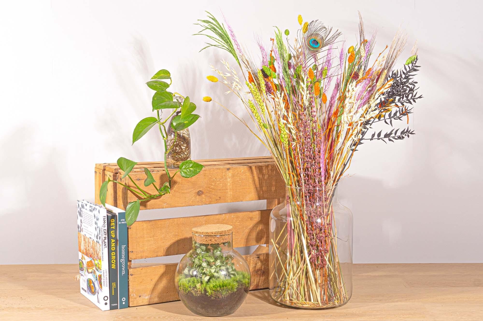 Ramo de Flores Secas - Halloween