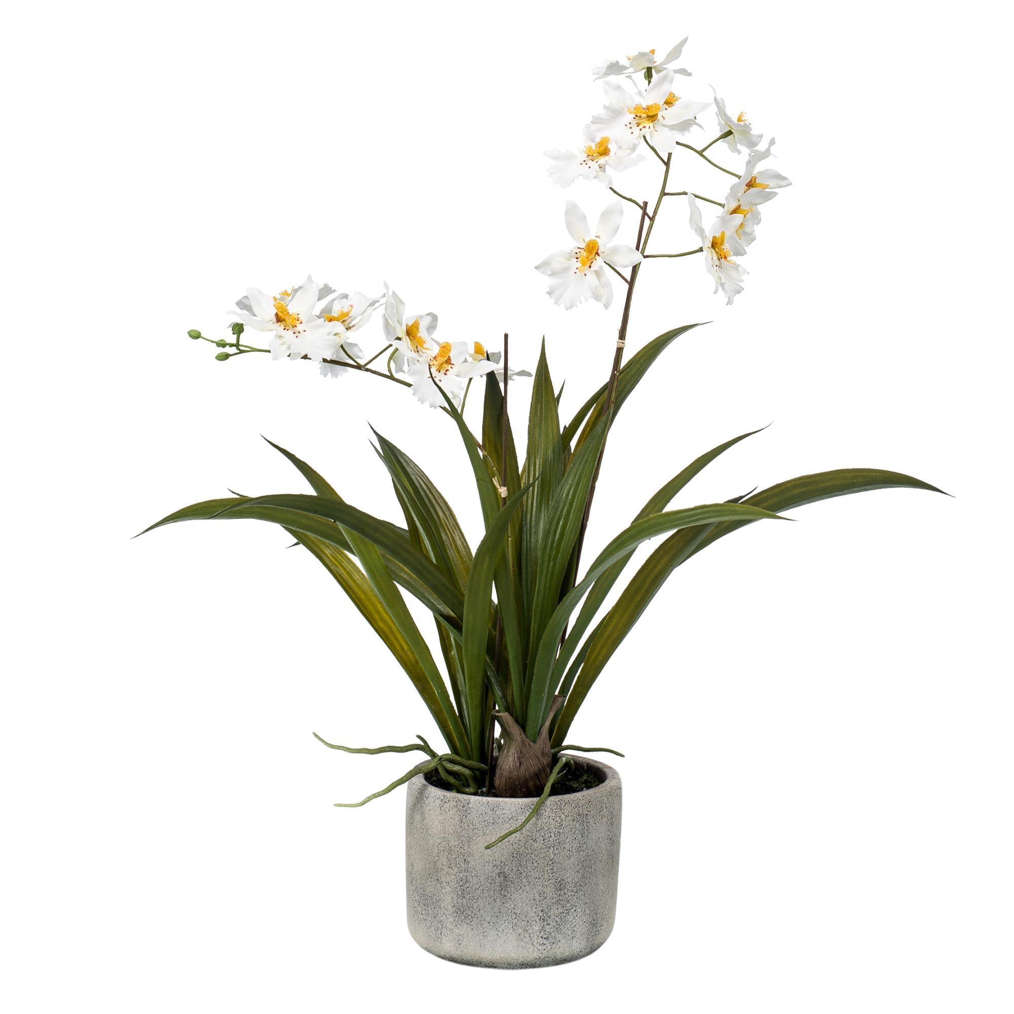 Comprar Orquídea Artificial Blanca
