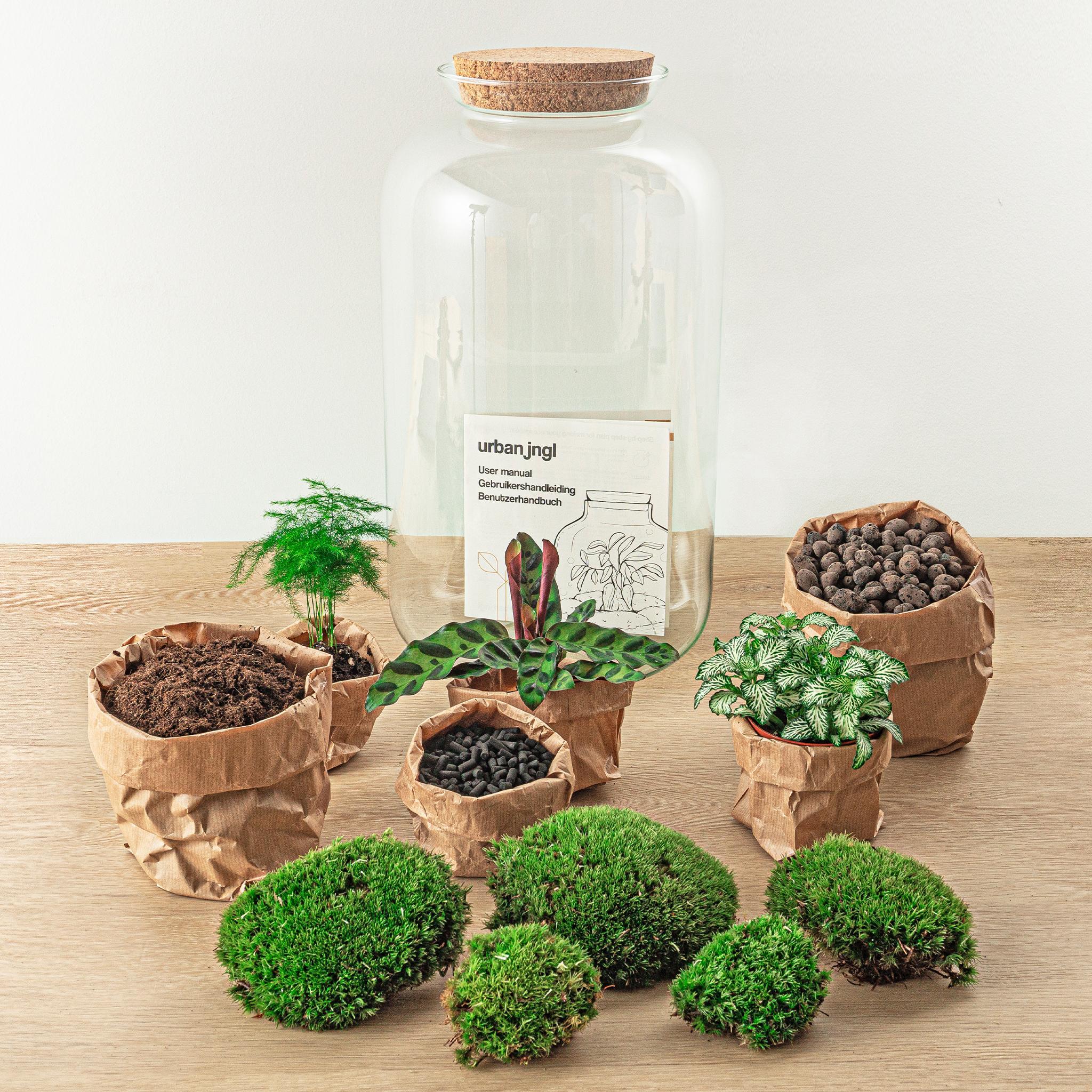 Terrário Botanical Sven XL