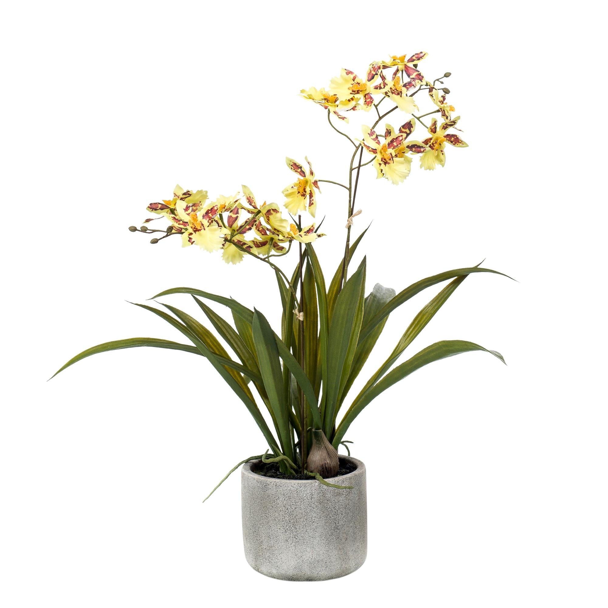 Comprar Orquídea Artificial Amarilla