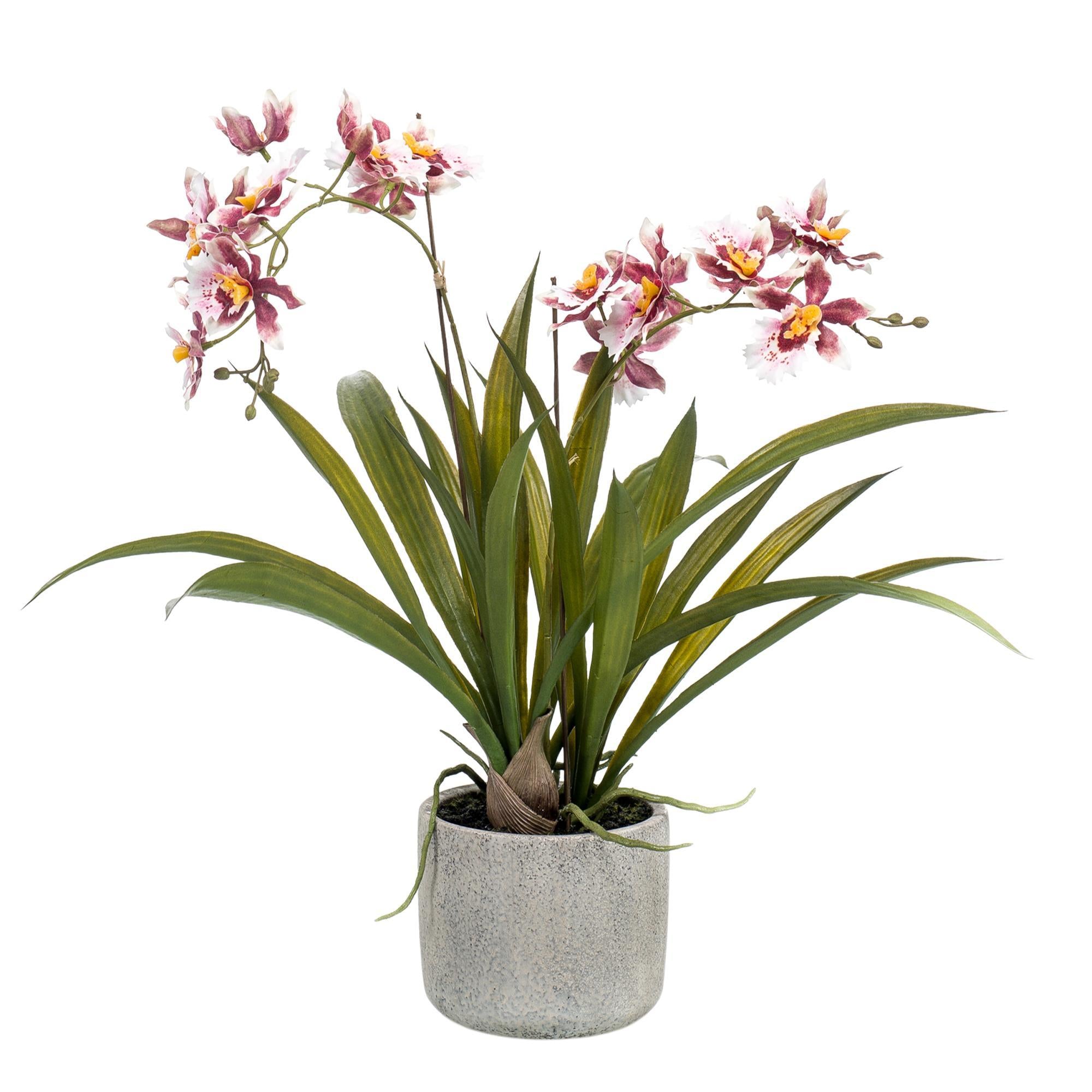 Comprar Orquídea Artificial Bordo