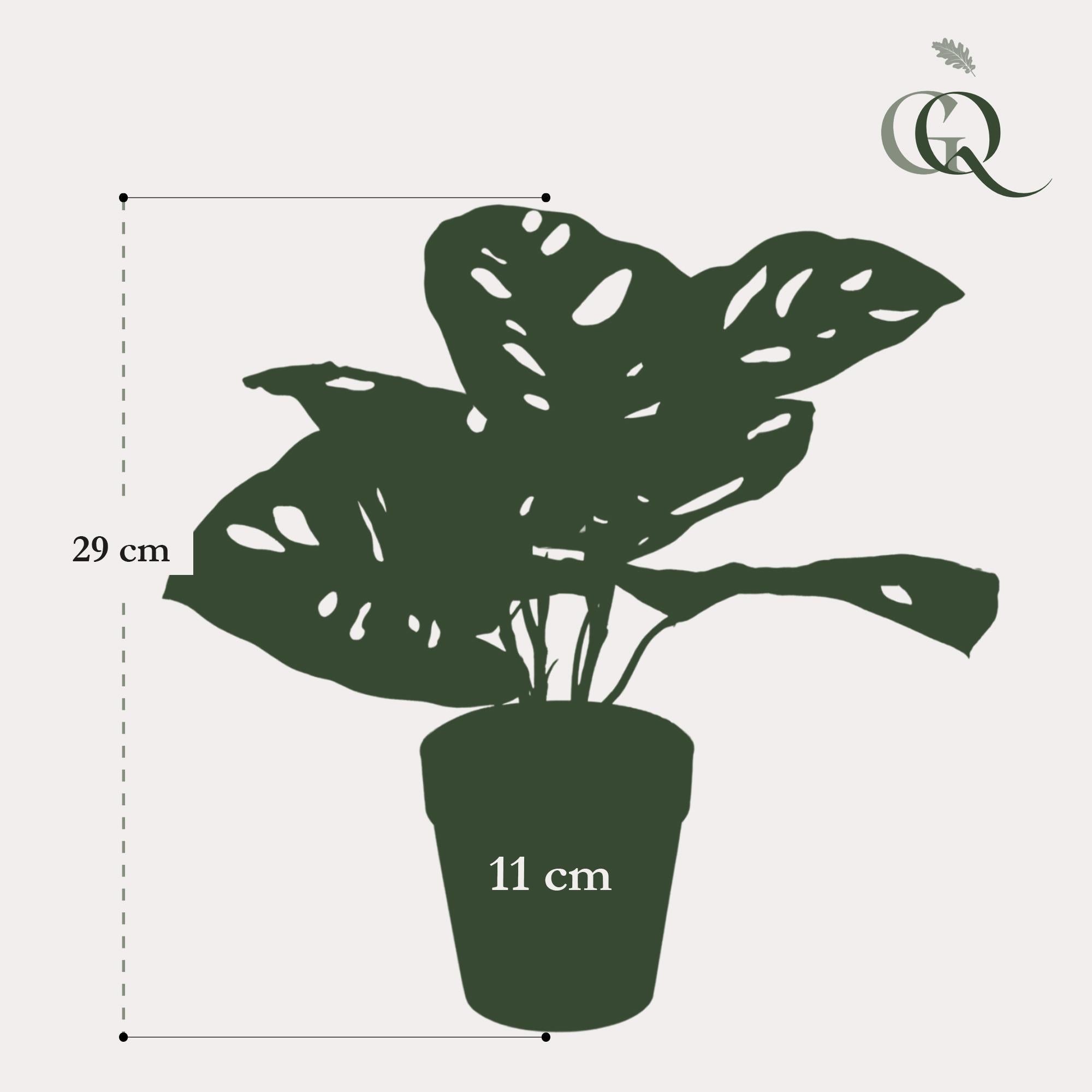 Grosse Künstliche Pflanze Fensterblatt Monstera 'Monkey Leaf'