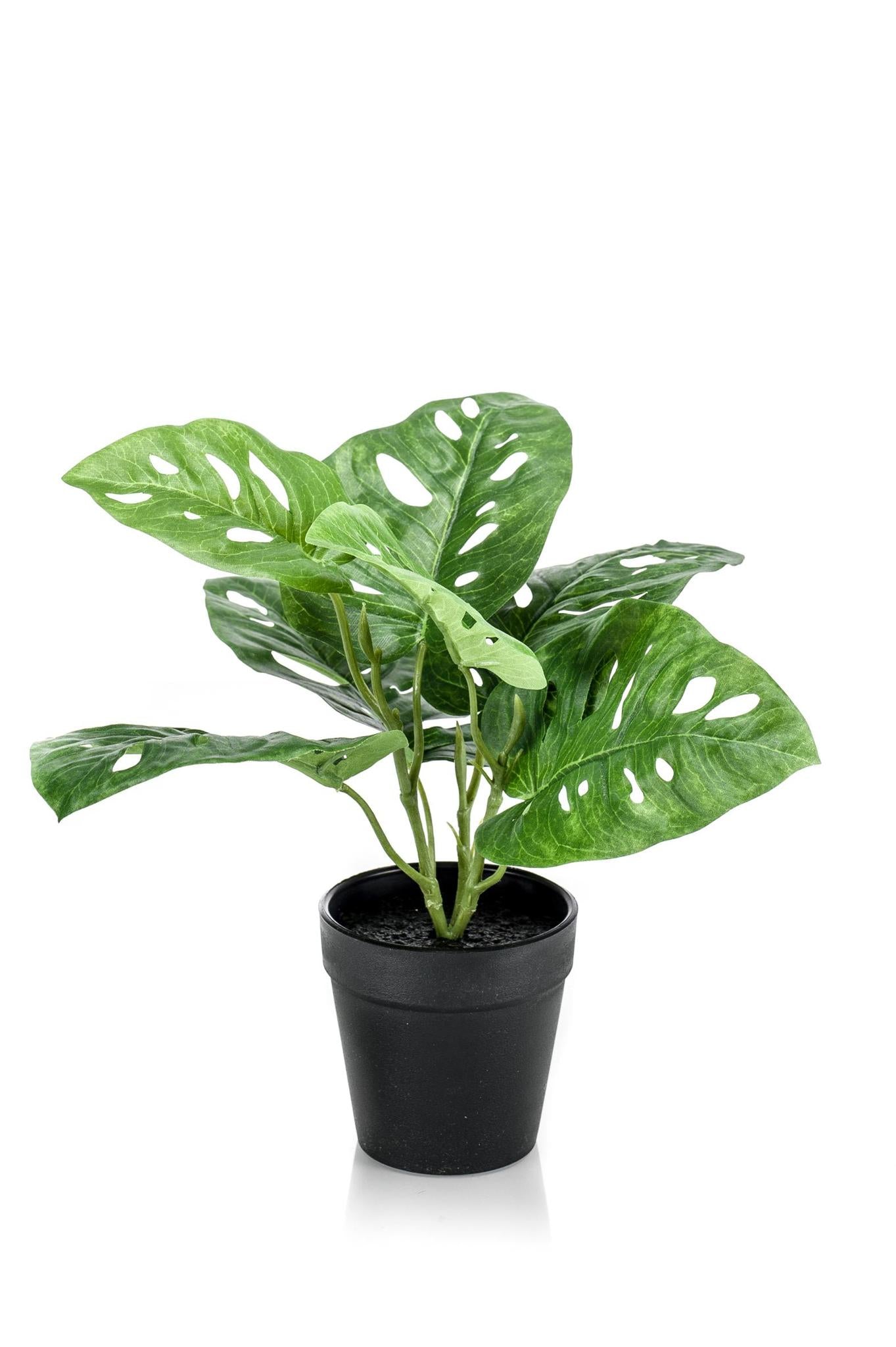 Künstliche Pflanze Fensterblatt Monstera 'Monkey Leaf'