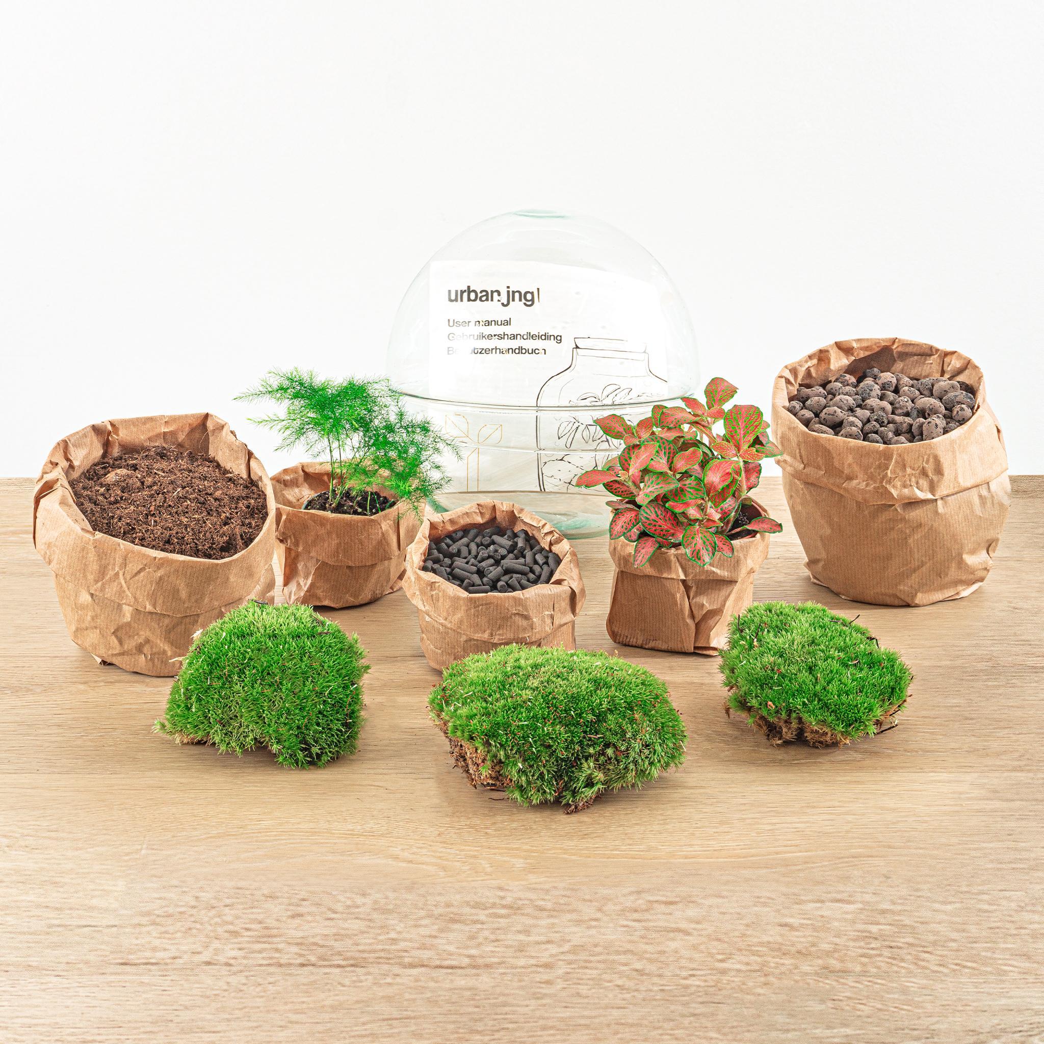 Terrarium - Dome Red kit kaufen