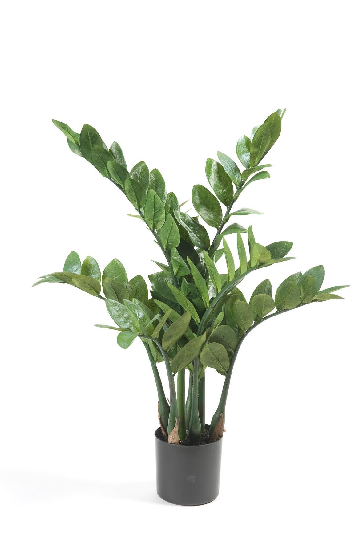 Künstliche Zamioculcas kaufen