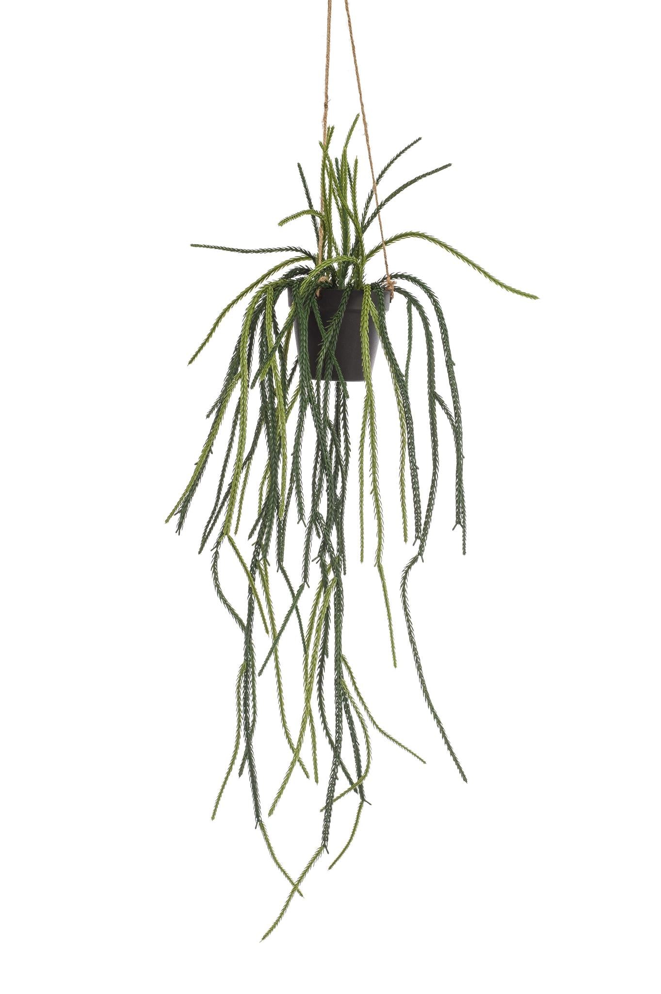 Korallenkaktus künstlicher Rhipsalis Hänger kaufen