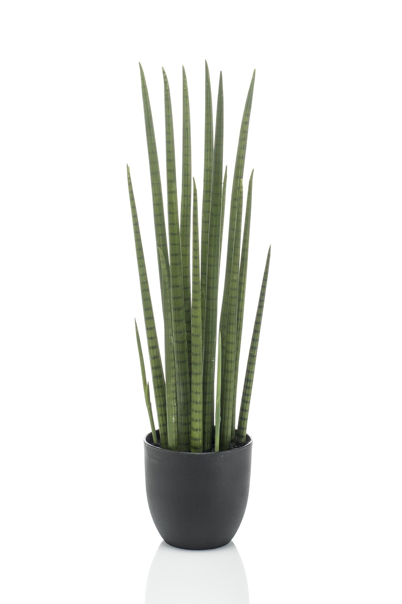 Kunstpflanze Sansevieria Cylindrica