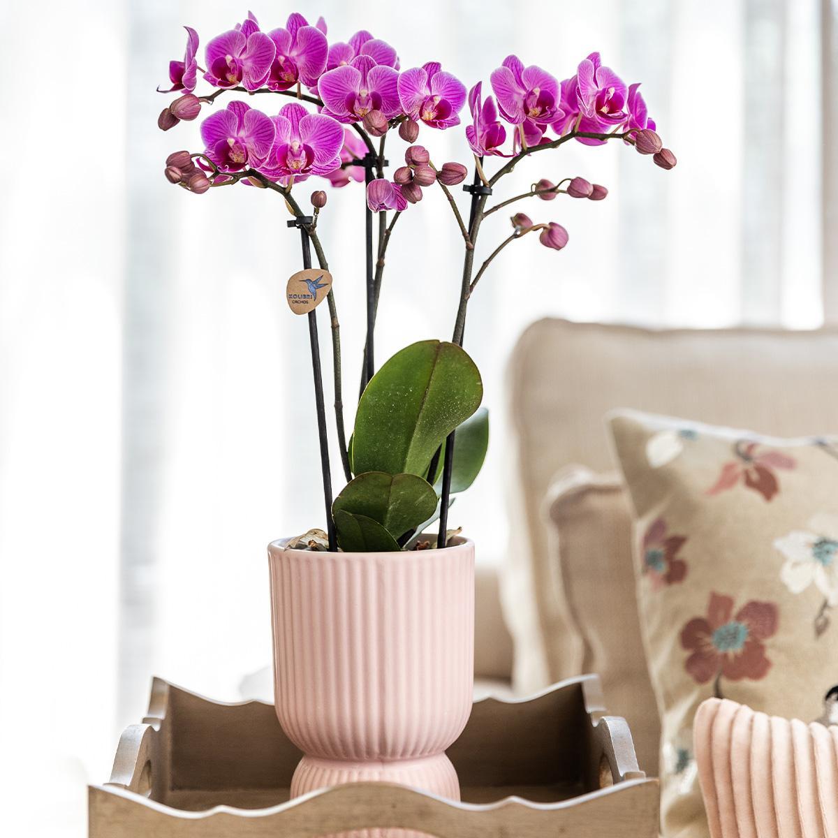 Elegante Diabolo Vase für Orchideen - Ø9cm