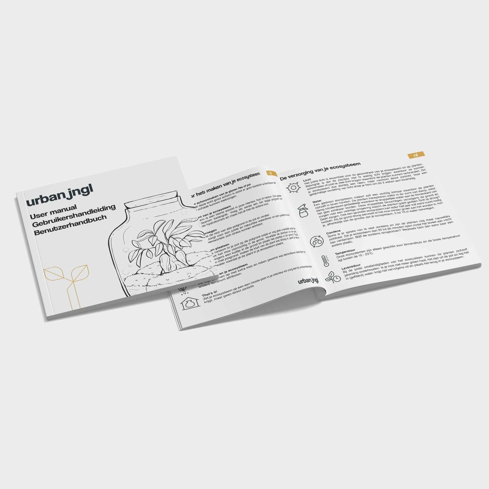 Pflanzenterrarien-Set Calathea - Nachfüllpackung