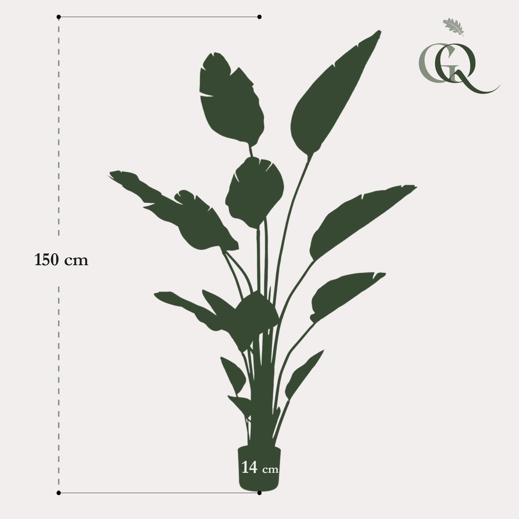 Künstlicher Strelitzia online kaufen