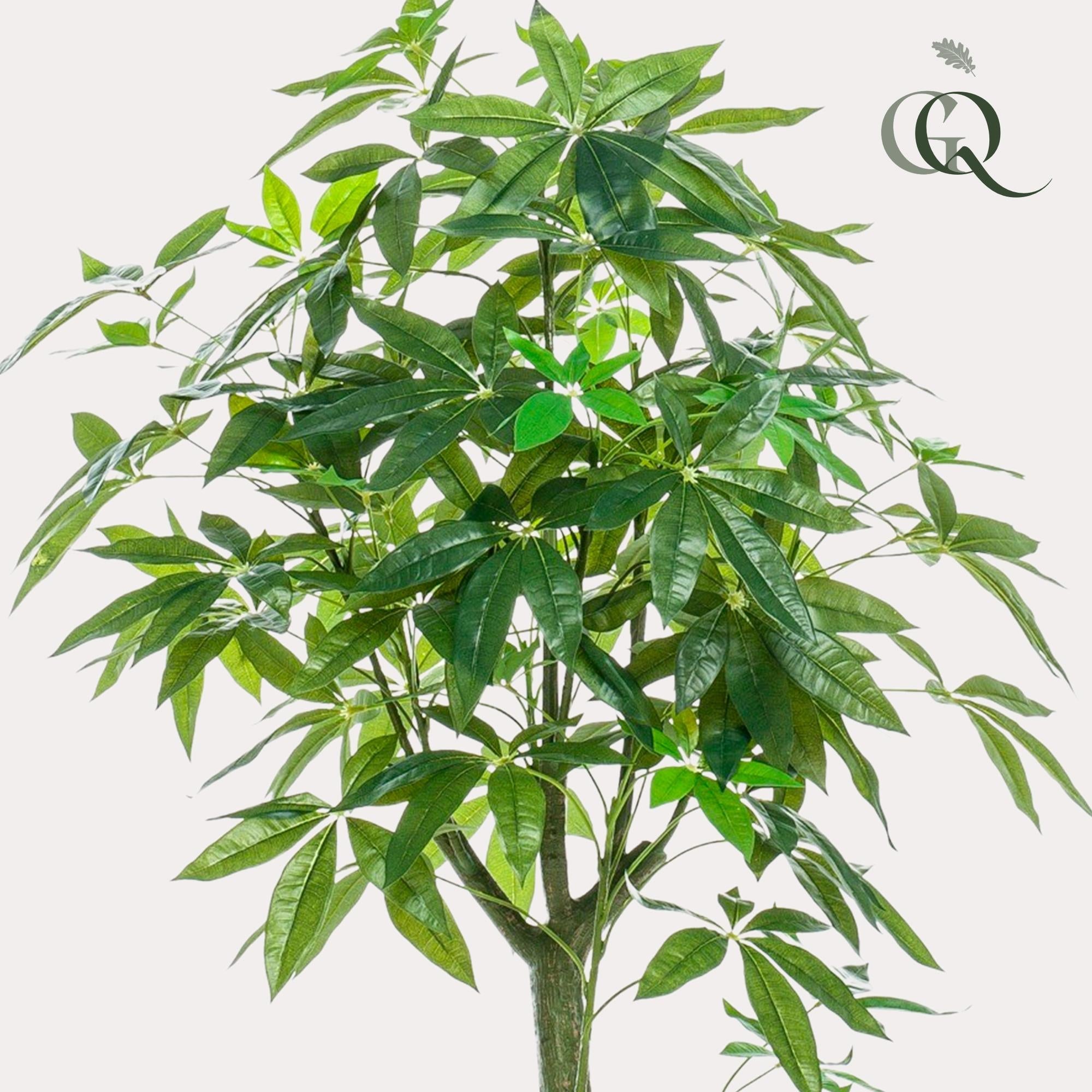 Künstliche Pachira Aquatica