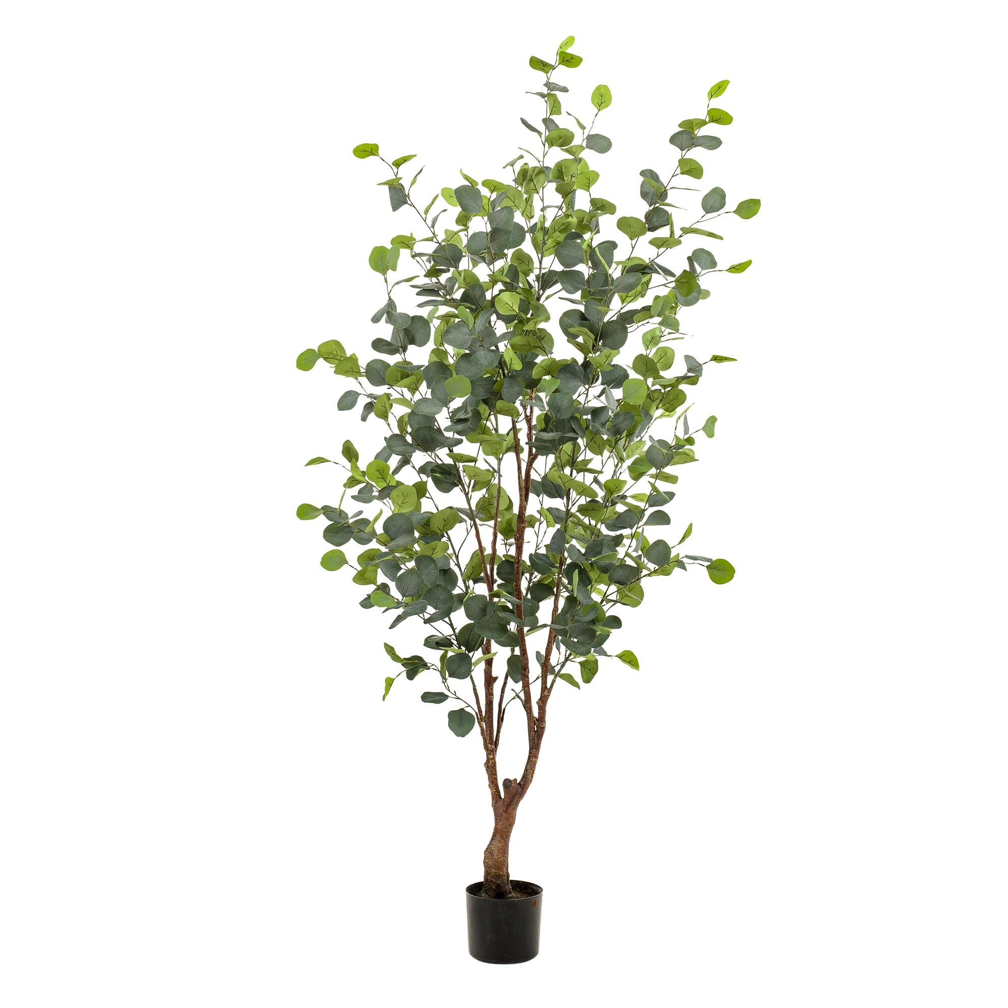 Künstlichen Eukalyptus kaufen