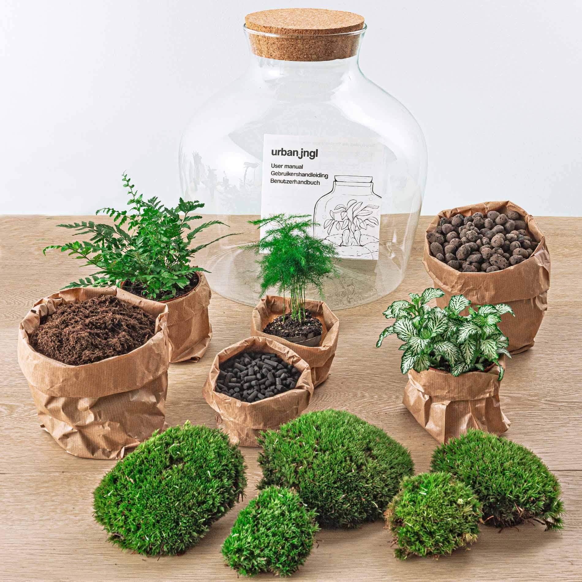 DIY terrarium - Fat Joe Groen kit kaufen
