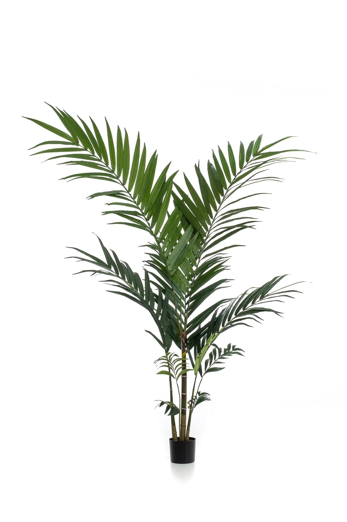 Künstliche Kentia Palme kaufen