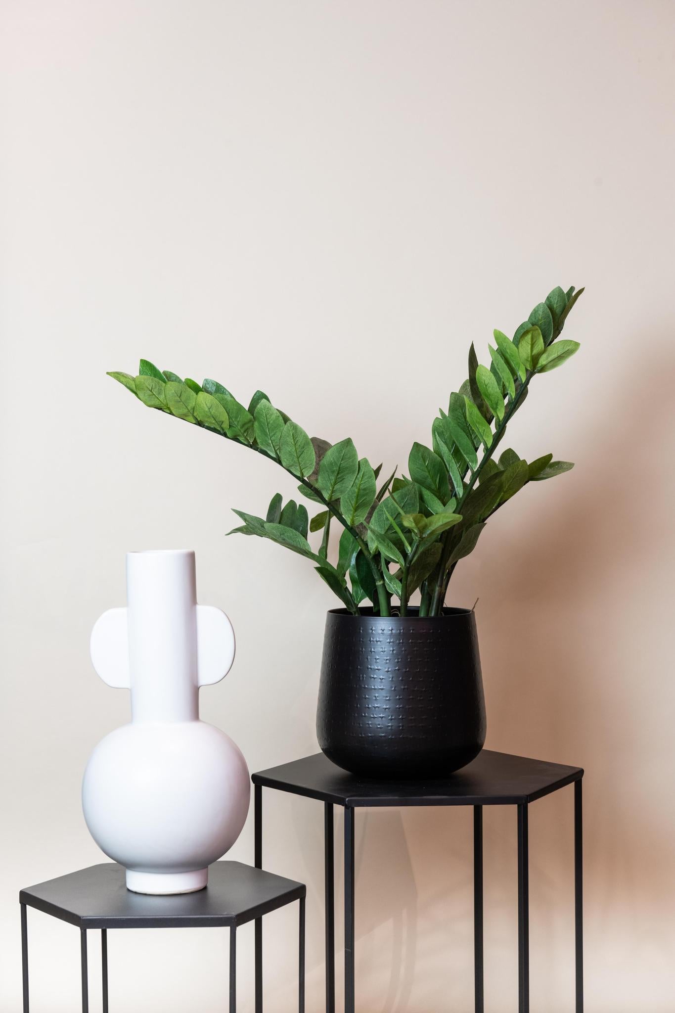Künstliche Zamioculcas dekoration