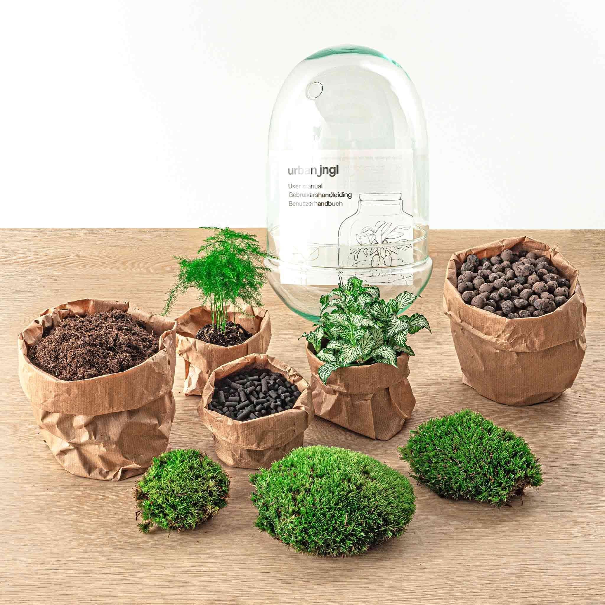 Terrarium - Egg XL bestellen