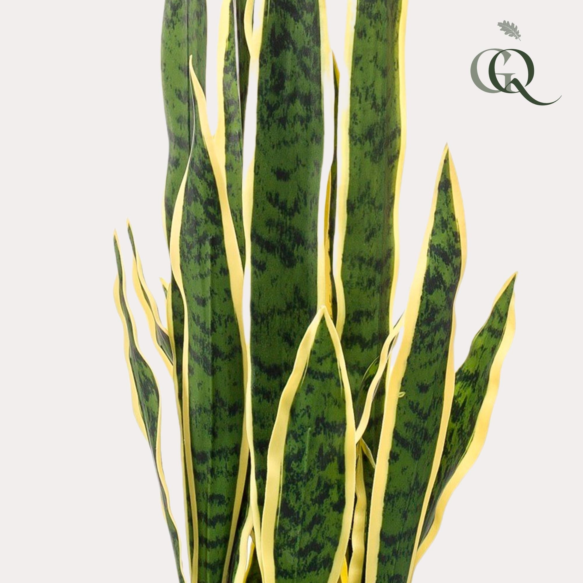 Kunstpflanze Sansevieria Trifasciata bestellen
