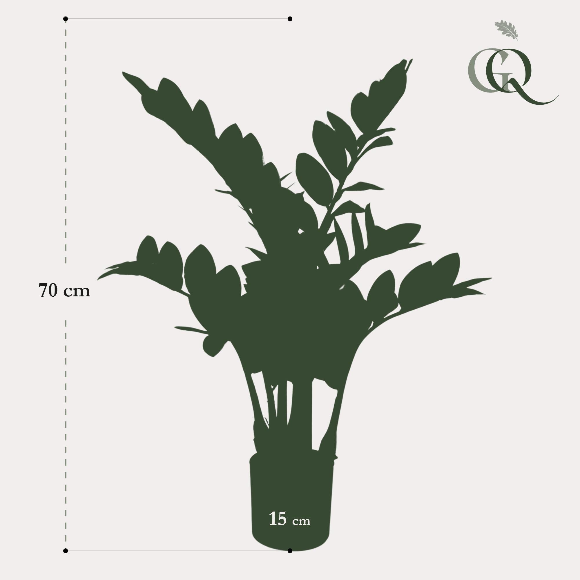 grosse Künstliche Zamioculcas kaufen