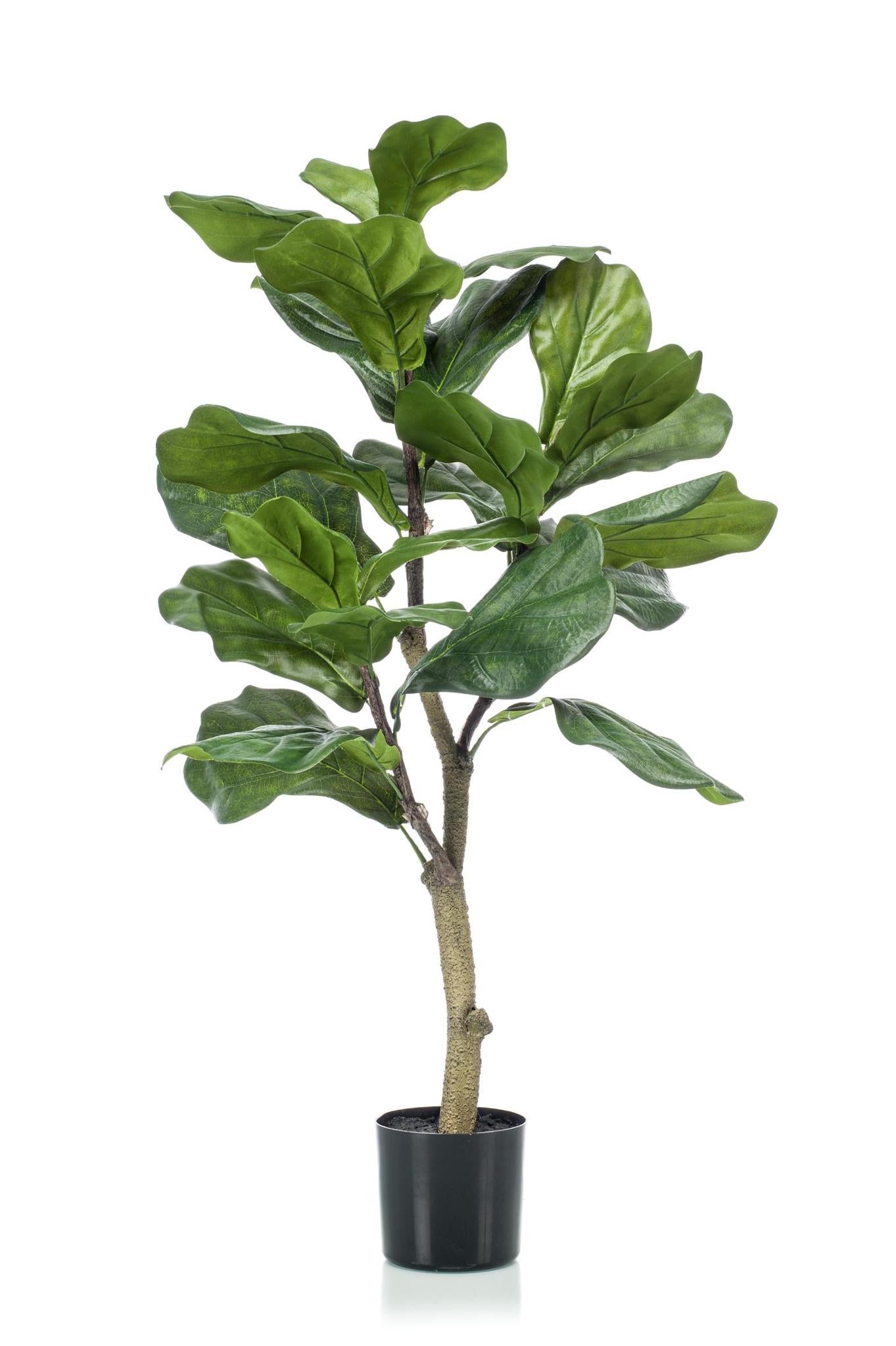 Künstliche Ficus Lyrata (Geigenfeige)