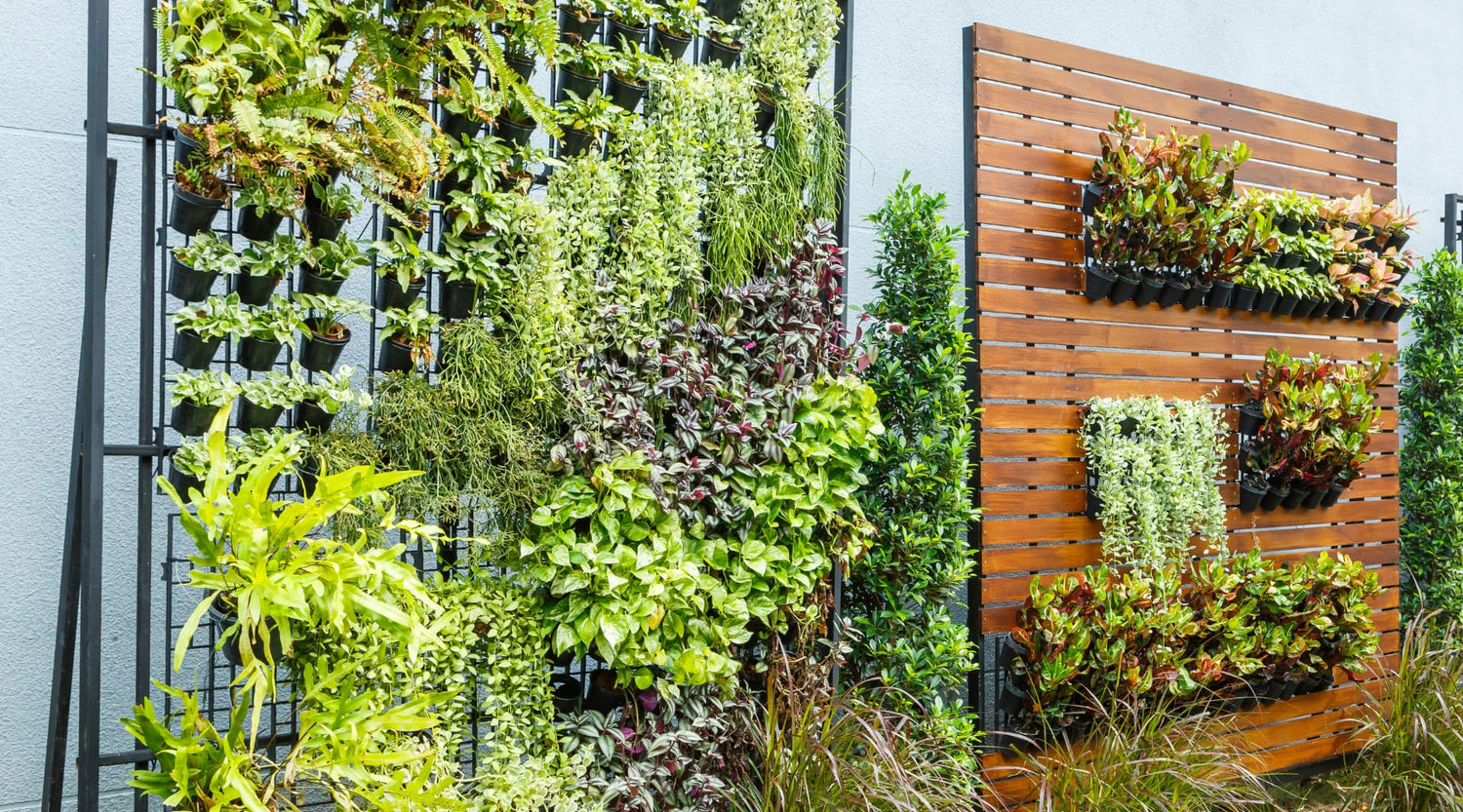 Cómo crear un jardín vertical con poco espacio