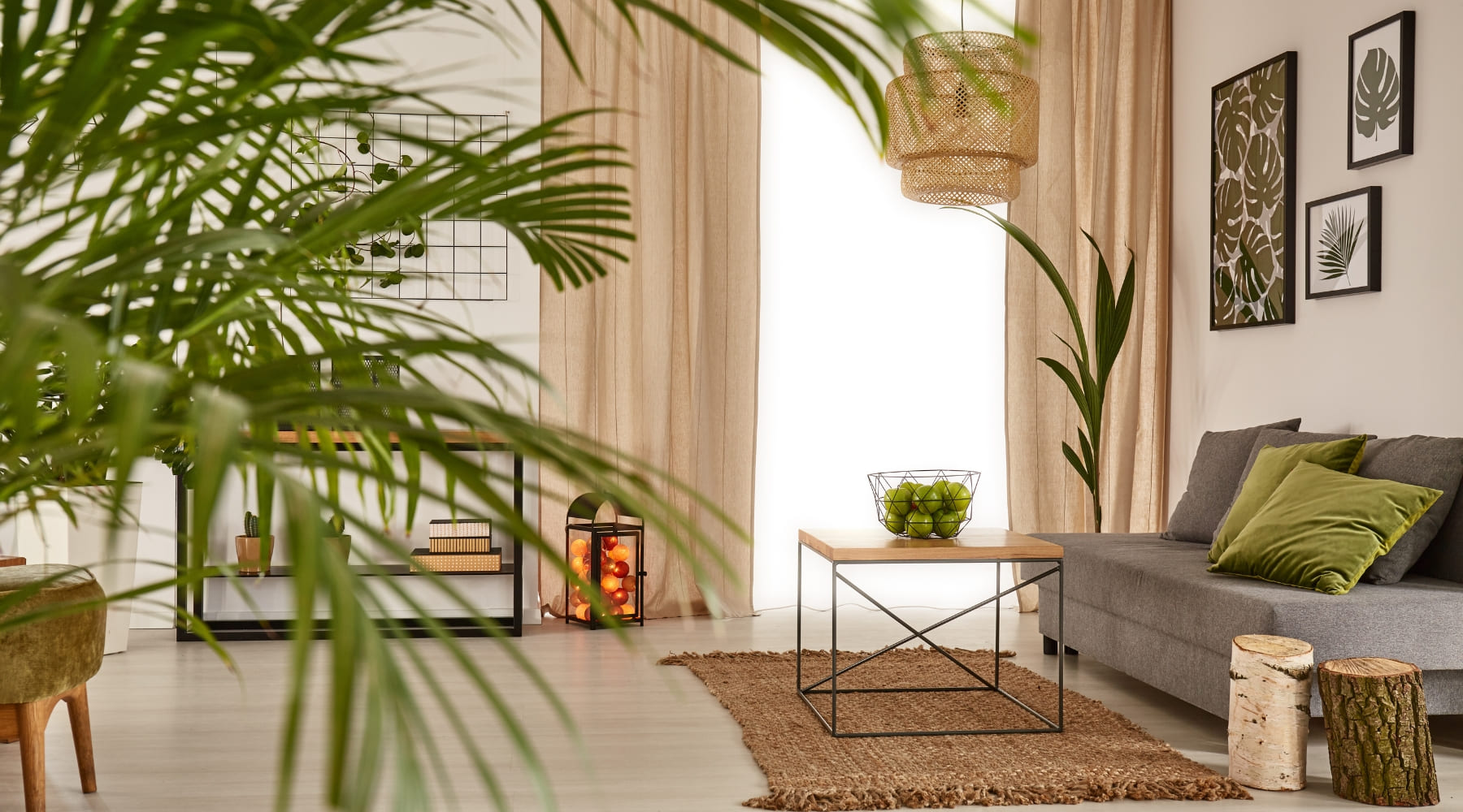 Las plantas más populares para decorar tu hogar en verano