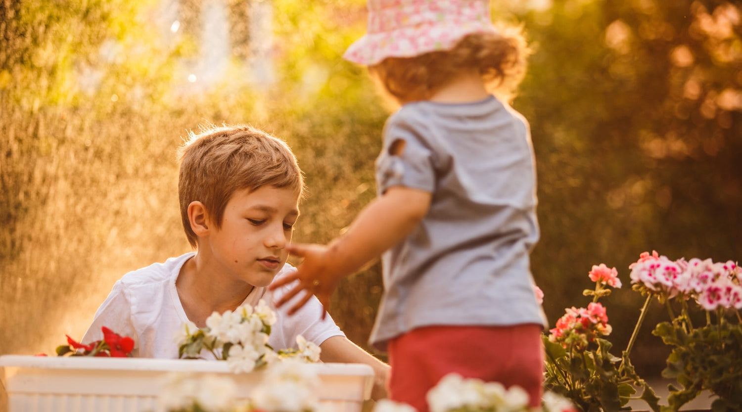 Plantas fáciles de cuidar ideales para niños