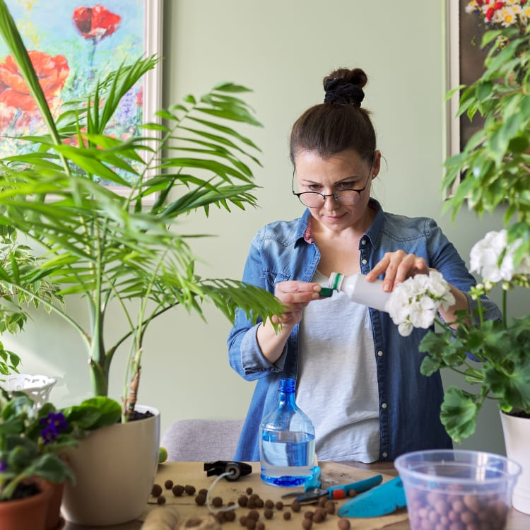 Comprar Fertilizantes y abonos para plantas