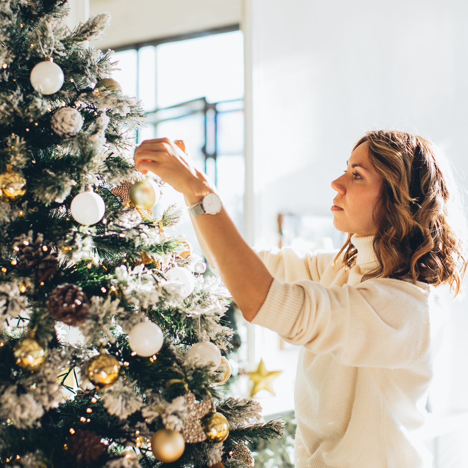 Comprar plantas de navidad