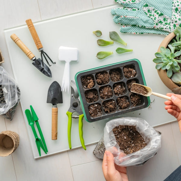 Tu Propio Huerto Urbano con Plantas de Calidad