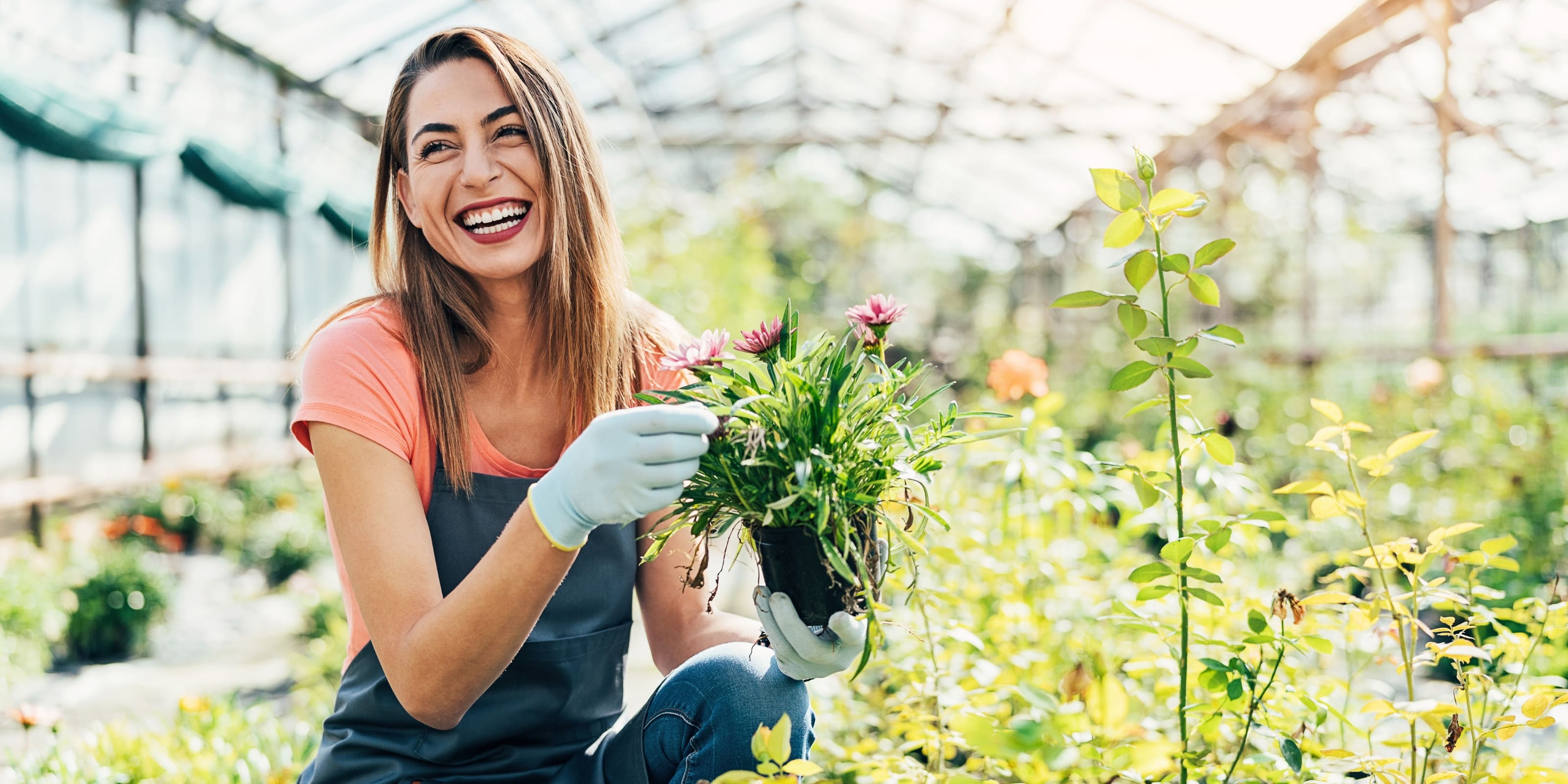 Compra Plantas Online en Urbangreen: Variedad y Calidad Directa de los Mejores Proveedores