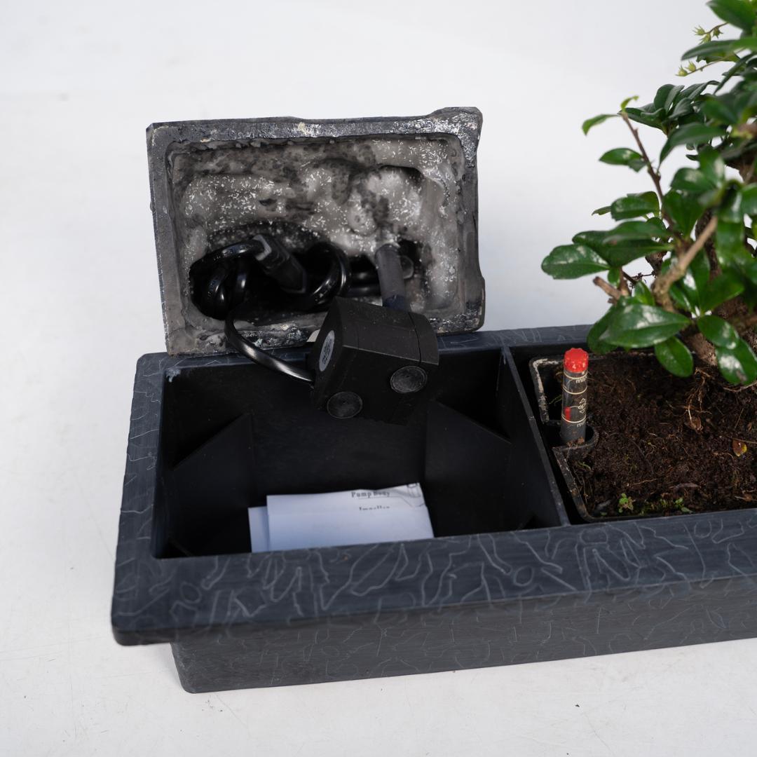 Bonsai mit Wasserfall - Buddha - Urbangreen Store