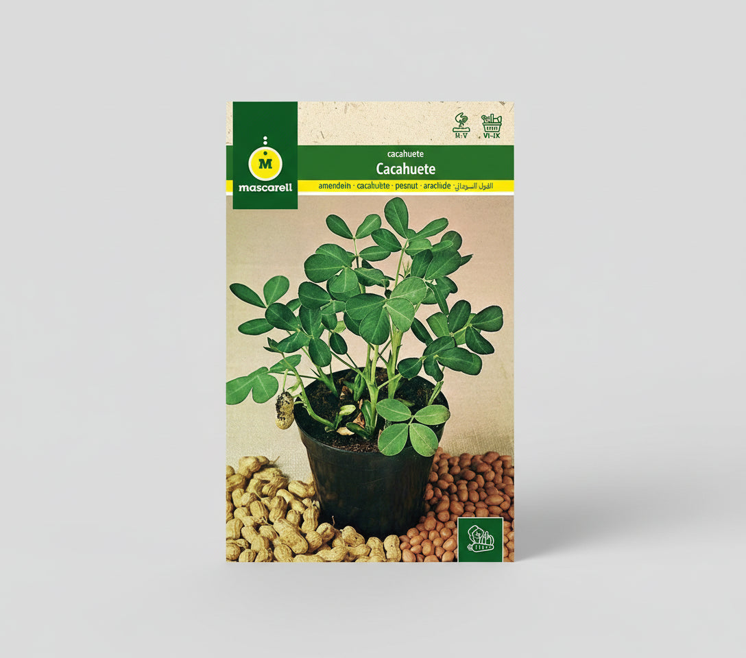 Comprar semillas de cacahuetes