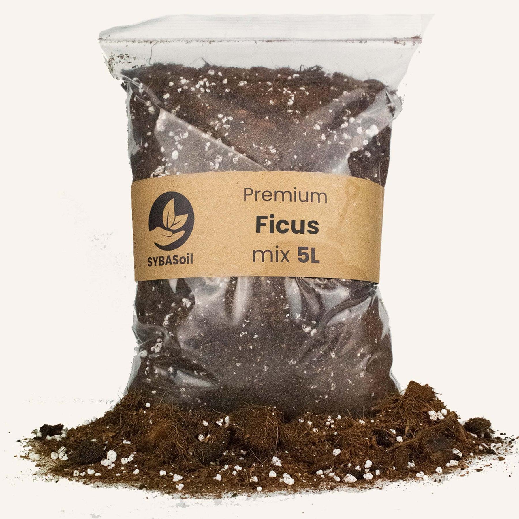 Ficus Substrat 5L - Urbangreen Store