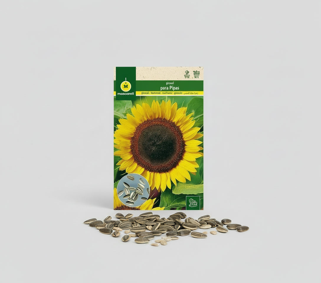 Semillas de Girasol