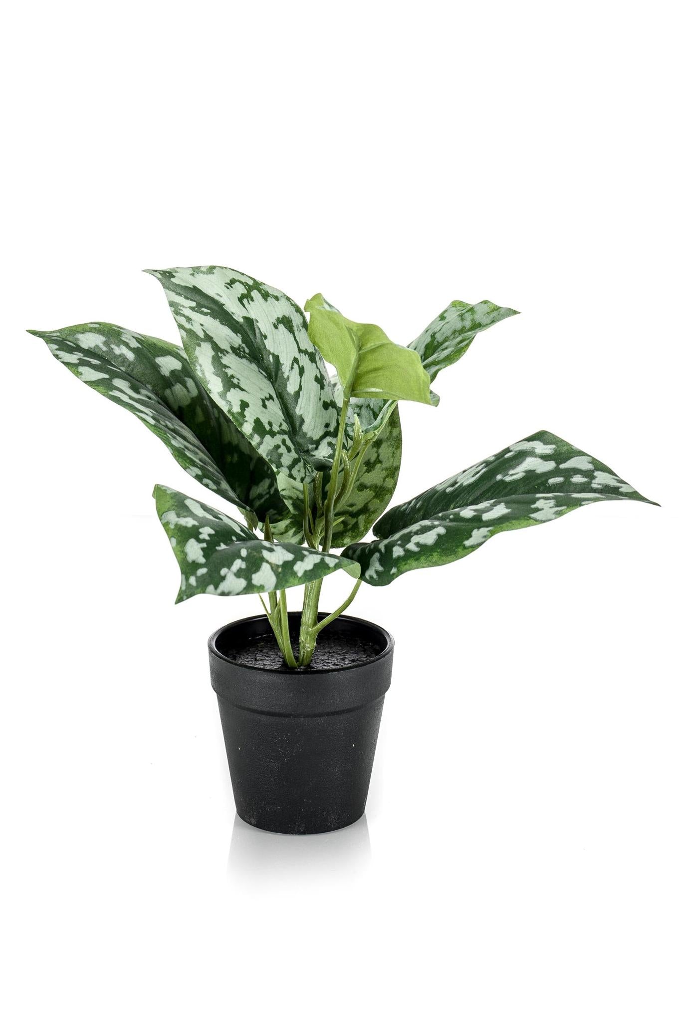 Comprar Scindapsus Pictus Artificial