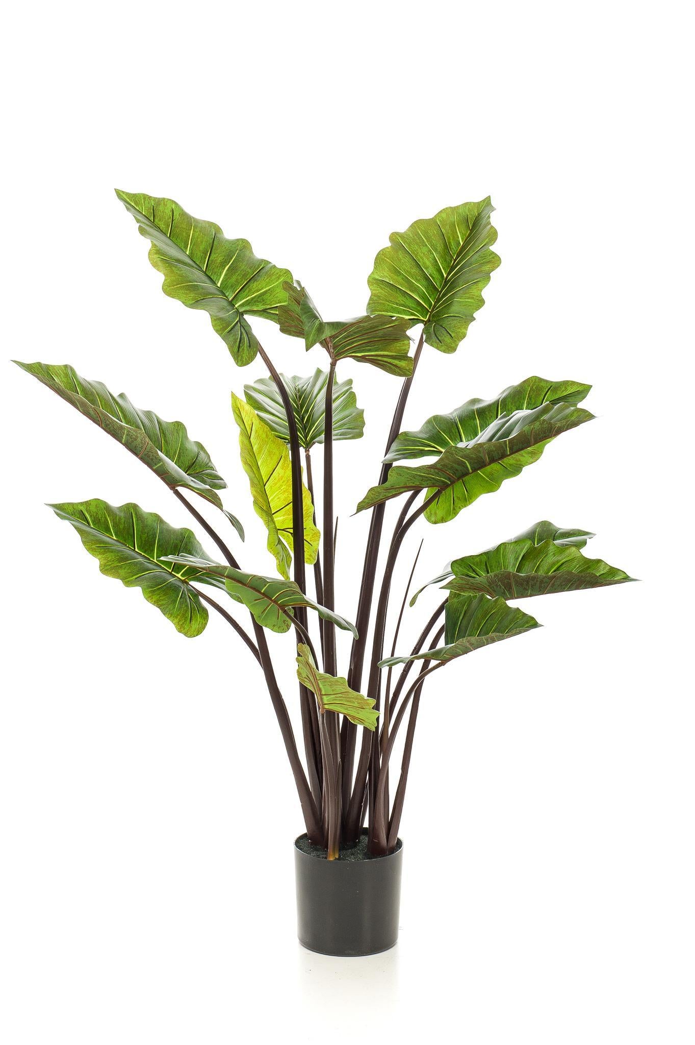 Comprar Alocasia Pink Artificial