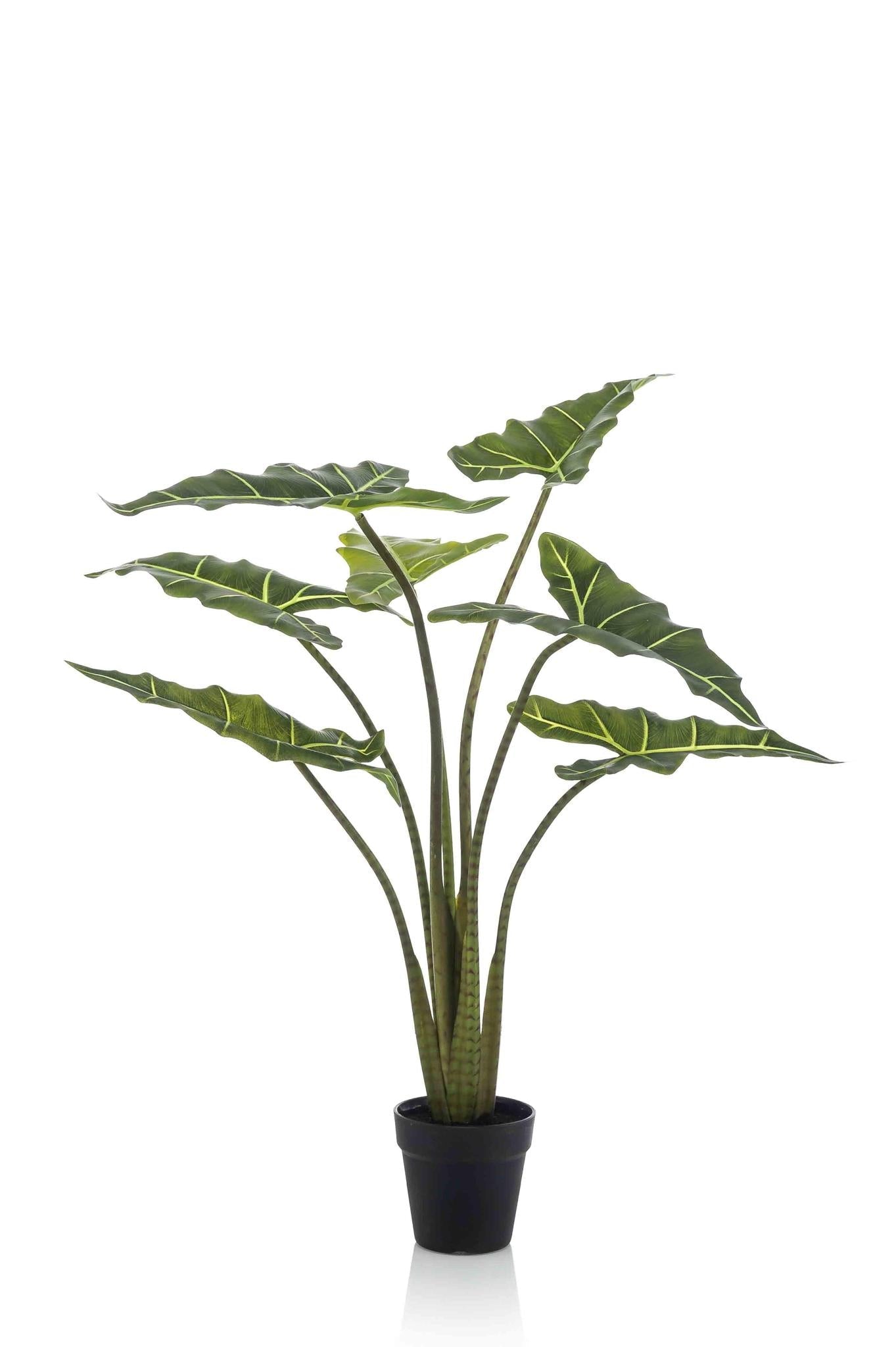 Planta Alocasia Frydek Artificial